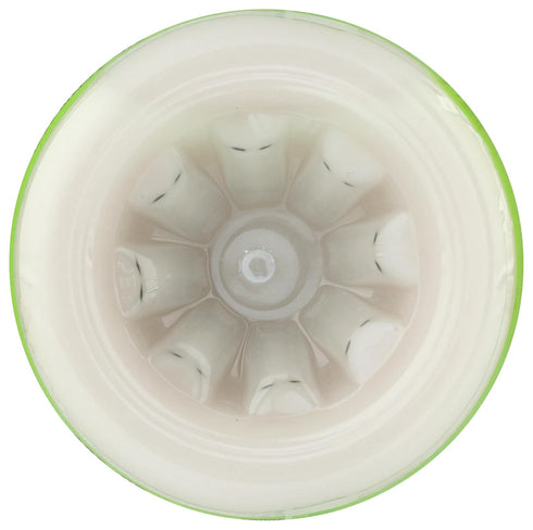 Harmless 10 Oz Harvest, Organic Whole Coconut Smoothie, Fl Bottle