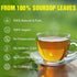 TEAWOO 60 Packs 100% Soursop Tea Bags, Natural Soursop Leaves (Hojas de Guanabana), Sugar-Free Caffeine-Free