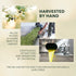 16.9 oz (500mL) 24 Frantoi Extra Virgin Olive Oil, fl Award-Winning Sicilian EVOO Made from Biancolilla, Nocellara del