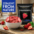 Homestead Reserve Pack 8 (0.6oz Packs Freeze Dried Fruit Snacks, of Each) Bulk Freeze-Dried Fruit for Home or Travel