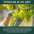100% 16.9 oz Ponti Italian Red Wine Vinegar for Cooking - Organic Red Wine Vinegar with Balanced Acidity & Harmonious