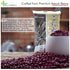 KC Commerce 14oz (Pack 2, 14, Japanese Style Sweetened Red Bean Paste VEGAN & GLUTEN-FREE, NO PRESERVATIVE, NO-MSG