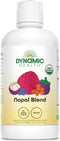 Dynamic Health Nopal Blend Juice with Acai, Certified Organic, Mangosteen and Seabuckthorn,