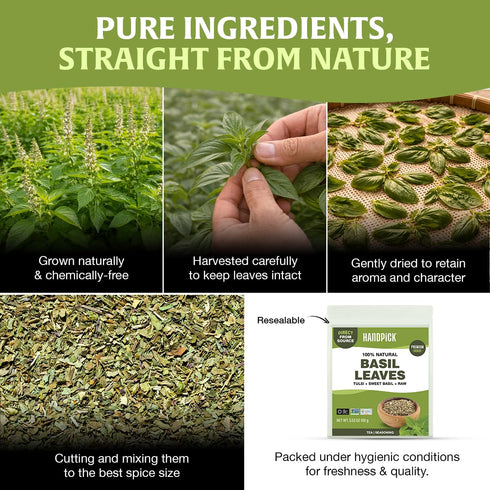 40 (100g/ 3.5oz) 100% Packed HANDPICK Dried Basil Leaves Servings Non GMO, Gluten Free, Raw Whole Tulsi Leaf, Sourced
