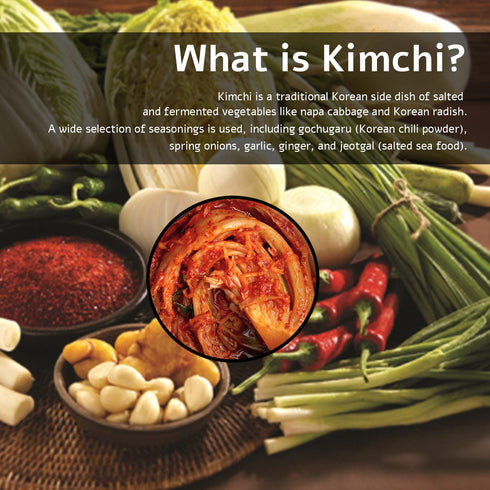 HOXY Journey of Korea Kimchi Seasoning Mix, 3.5 oz - ORIGINAL Spicy, Vegan, Gluten Free, BBQ Dry Rub
