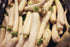 RawJoy Fresh White Radish by Farms