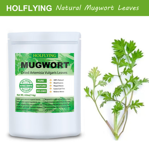 HOLFLYING 7.0oz(200g), 100% Dried Mugwort Leaves, Natural Artemisia Vulgaris Herbal Loose Leaves, Natural Mugwort Loose