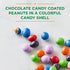 7.5 Russell Stover Sugar Free Chocolate Candy Coated Peanut Gems, Ounce Bag