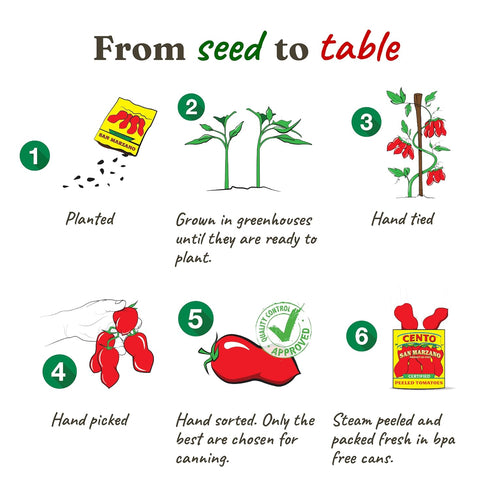 28 Oz, Cento Certified San Marzano Whole Peeled Tomatoes, Canned Plum Tomatoes in Thick Puree with Basil, Grown