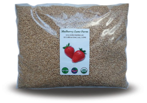 Mulberry Lane Farms Hard White Wheat Berries 5 Pounds Kernels Montana Golden 86 USDA Certified