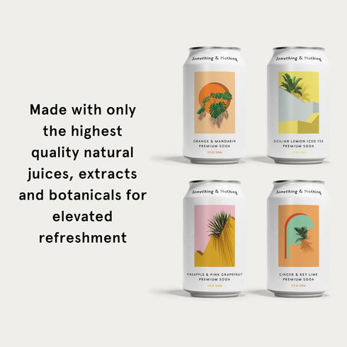 Pack 12 Oz (Pack 12) Something & Nothing Variety Flavoured Sparkling Water | Lightly Carbonated, Full Flavoured