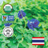 100% 8.82 oz (750+ (250Gram) INCAS USDA Organic Butterfly Pea Flower Cups) DIRECT FROM SOURCE Thailand Non GMO Verified