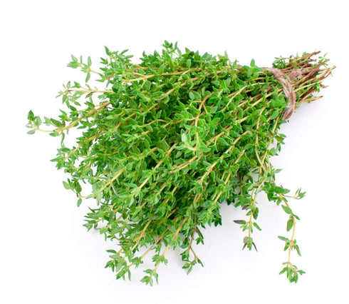 (50g) Health Embassy Thyme Herb | Thymus Serpyllum L | Herbal Tea