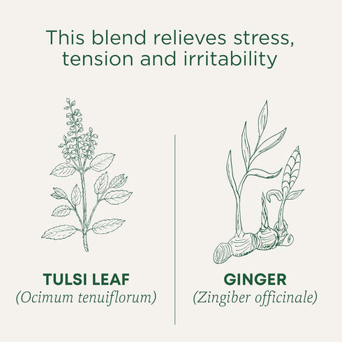96 (6 Pack) Traditional Medicinals Tea, Organic Tulsi & Ginger, Relieves Stress, Tension, & Irritability, Tea Bags
