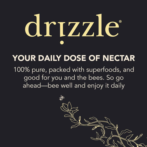 13.2 oz (375 Pack 2 Drizzle Cinnamon Spiced Raw Honey - All Natural Pure Raw Honey with Organic Cinnamon, Unfiltered