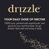13.2 oz (375 Pack 2 Drizzle Cinnamon Spiced Raw Honey - All Natural Pure Raw Honey with Organic Cinnamon, Unfiltered