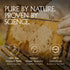 1839 10+ 300+ 100% 250g Triple-Churned Raw Mnuka Honey UMF | MGO | Silky Texture | New Zealand Origin |