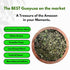 32oz (2LB) 66mg Pacha Ancient Energy Guayusa Tea - | Organic Loose Leaf Tea | Traditional Guayusa Loose Leaf | Caffeine