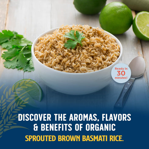 30 16 Oz Lundberg Basmati Rice, Organic Sprouted Brown Long Grain Rice - Nutty & Nutritious Brown Rice Grown