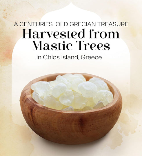 Cerez Pazari Natural Mastic Gum - 0.88 oz (25g) Greek Chios Pure Resin, Sugarless Vegan Gum Made from Mastiha Trees