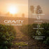 2lb Gravity Coffee Signature White Coffee, Bag of Ground White Coffee, Nutty & Earthy Flavors, Subtle and Smooth Flavor