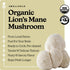 Smallhold 8oz Fresh Organic Lions Mane Mushroom | Locally Grown Gourmet Mushroom | Ready to Cook, Nutrient-Dense