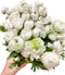18 Fresh white ranunculus cut flowers, handpicked by a florist, perfect for