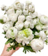 18 Fresh white ranunculus cut flowers, handpicked by a florist, perfect for