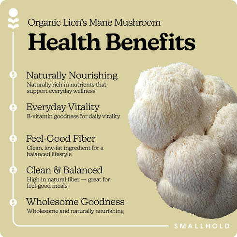 Smallhold 8oz Fresh Organic Lions Mane Mushroom | Locally Grown Gourmet Mushroom | Ready to Cook, Nutrient-Dense