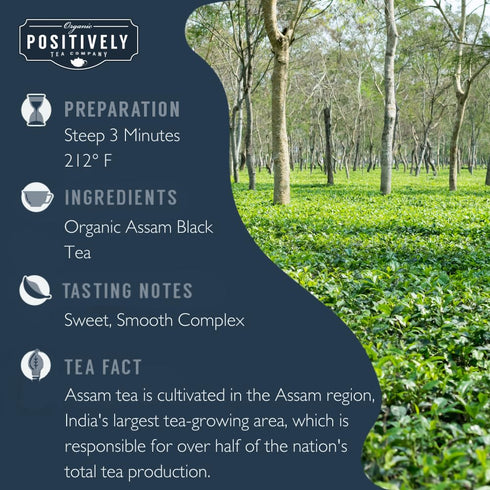 16 Organic Positively Tea Company, Assam TGFOP Black Tea, Loose Leaf, Ounce