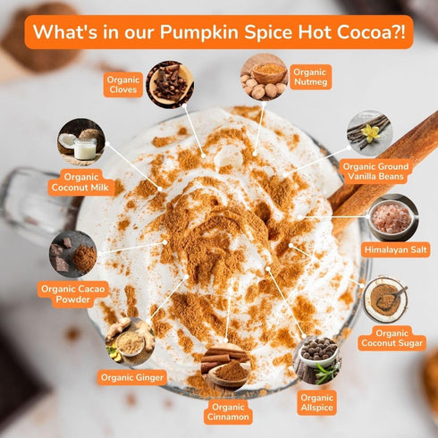 9.52 oz. Bare Life: Dairy Free Pumpkin Spice Hot Cocoa Mix Pouch | Gluten Free, Vegan, USDA Organic, Plant Based