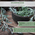 Elanen Naturals Organic Wormwood Herb 8 oz. (227g), USDA Certified Organic Artemisia absinthium, Cut & Sifted Wormwood