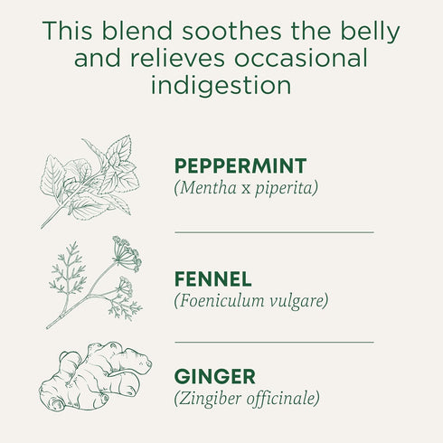 96 (6 Pack) Traditional Medicinals Organic Belly Comfort Peppermint Tea, Kosher, Non-GMO, Caffeine-Free, Compostable