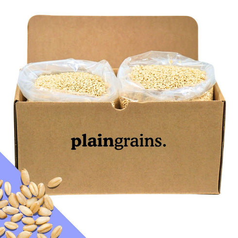 11 LB 9% PlainGrains. The Natural Way | Dry Soft White Wheat Berries | Protein by Volume | Uncooked, Unground, Whole