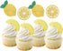 Oskal 24Pcs Glitter Lemon Cupcake Toppers, Fruits Theme Party Decor, Summer Cupcake Toppers