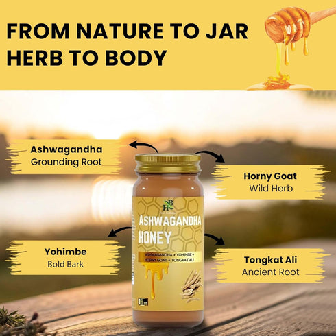 16 oz, Herb To Body Ashwagandha Honey Organic Wildcrafted Organic Honey for Men with Ashwagandha for Balance, Vitality
