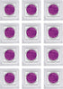Pack 12 Yogurt(12) Yogurt Starter Cultures - of Freeze-Dried Culture Sachets for Pure Acidophilus