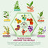 Set Set Pack 60 ACORUS Travel Tea | Round-The-World Trip of Your Dreams with Selection of Teas You Have Never Tasted