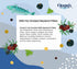 3.88 oz 5 Pack Ocean's Sweet Smoked Wild Mackerel in Sunflower Oil | - | Fillets | Kosher |