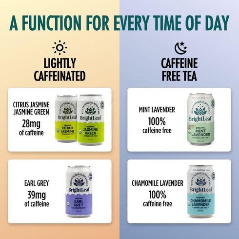 12oz BrightLeaf Mint Lavender Sparkling Tea for Relaxation and Digestion Caffeine-Free, Zero Sugar, Calories