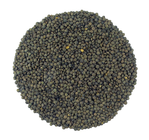 Organic French Green Lentils Whole Raw, High Fiber Non-GMO-Bulk (3LB)
