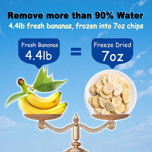 20g-Pack, (1-Pack, KachiKachi Freeze-Dried Bananas Fruit Snack - Only Bananas | No Sugar Added | Freeze Dried Crispy