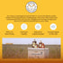(3lbs Beekeeper Direct Raw Unfiltered Honey - Real Raw Desert Flower Honey - All Natural Non-GMO Pure Gourmet Honey