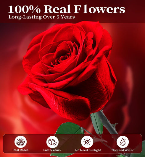 5 Preserved Flowers for Delivery,Red Rose Bouquets That Last Years,Birthday Flowers Gifts for Women Mom Grandma Wife