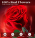 5 Preserved Flowers for Delivery,Red Rose Bouquets That Last Years,Birthday Flowers Gifts for Women Mom Grandma Wife