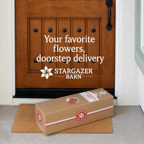 Stargazer Barn White Royale Rose Bouquet with Vase Mothers Day Flowers for Mom Fresh Flower Delivery, Farm Fresh