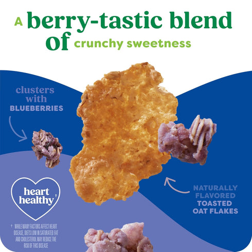 17.2oz (1 (Pack 4) Kashi Breakfast Cereal, Organic, Whole Grain, Blueberry Clusters, Box Box)