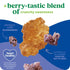 17.2oz (1 (Pack 4) Kashi Breakfast Cereal, Organic, Whole Grain, Blueberry Clusters, Box Box)