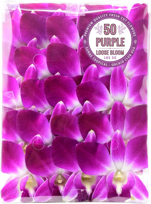 Miami Fresh Orchid Flower OrchidClub USA Sunne Tropical Loose Bloom DIY Lei,