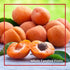 560 19.7 oz (1 Pack) Sperlari Gourmet Italian Goods - Mostarda Cremonese Candied Fruit - Figs, Apricots, Tangerines